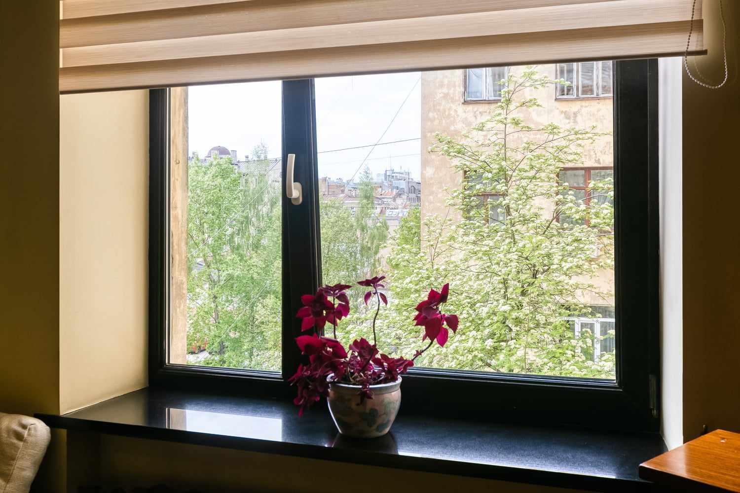 ריגה Delux 1 Bedroom Studio In City Centre מראה חיצוני תמונה